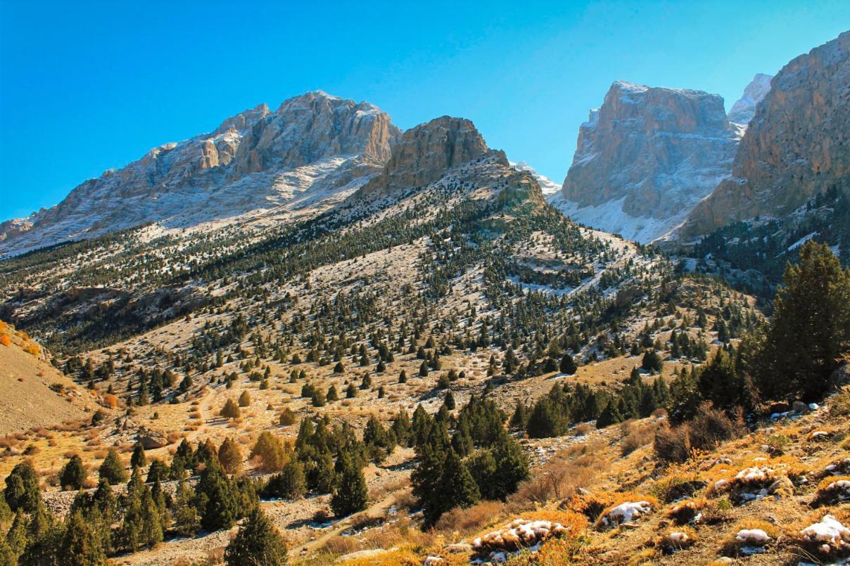 Aladaglar Mountain Hostel Cukurbag  Экстерьер фото